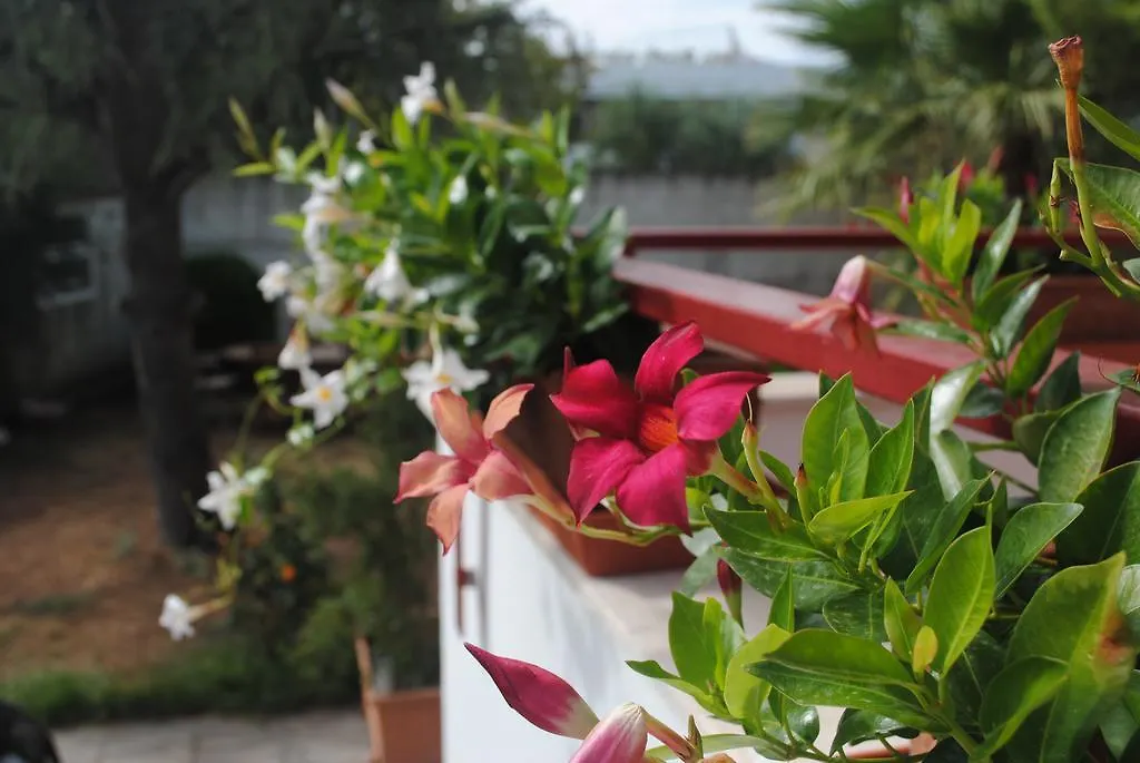 Bed & Breakfast Annavi Bed and Breakfast Bari